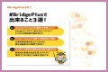 BridgePlus Manual