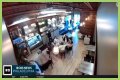 Four masked individuals remove Israeli flags at a Philadelphia cafe. - SarkariResult