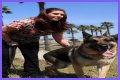 Megan Leavey Age, Birthday, Wikipedia, Who, Nationality, Biography