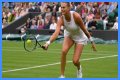 Wimbledon 2021: Aryna Sabalenka vs Karolina Pliskova Preview, Head to Head and Prediction